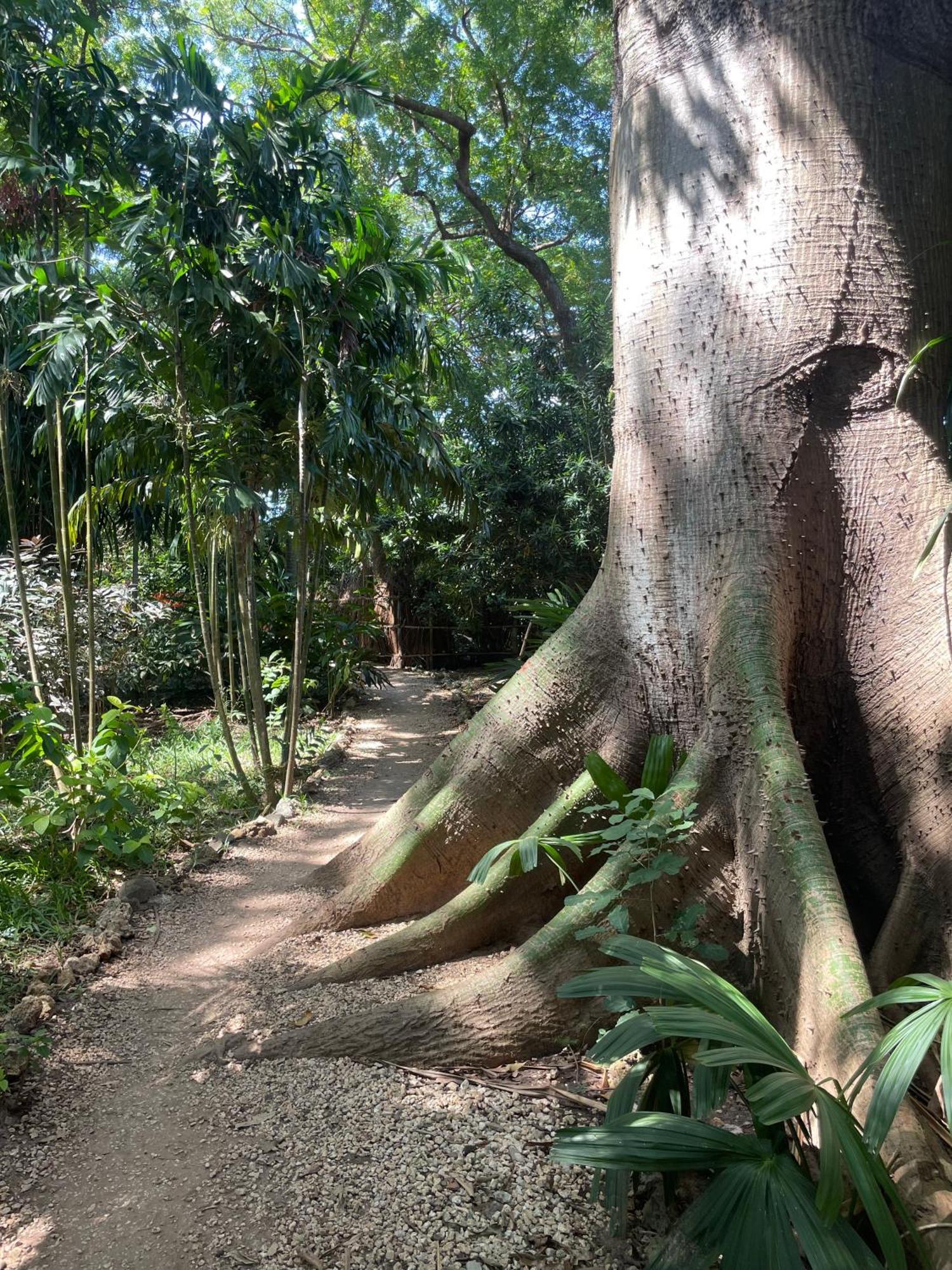 Mbweni Ruins & Gardens Previously Jungle Paradise Готель