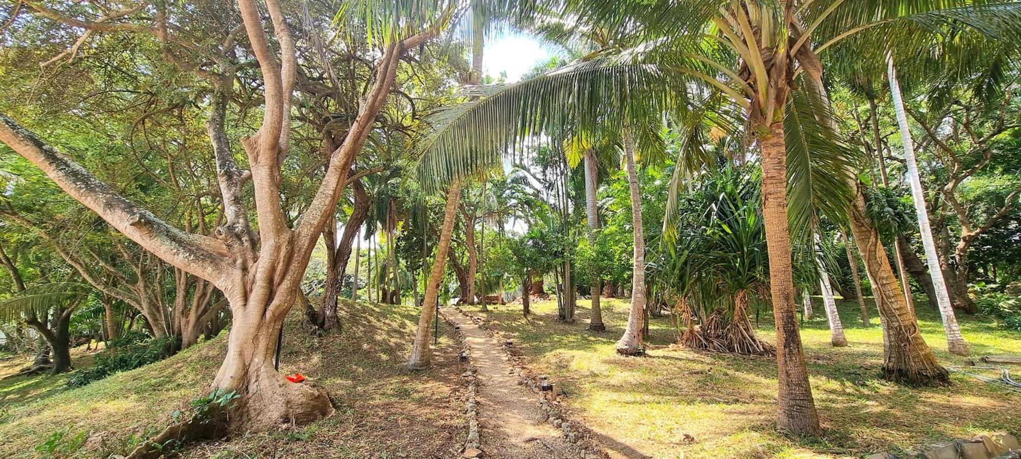 Mbweni Ruins & Gardens Previously Jungle Paradise Готель 4*