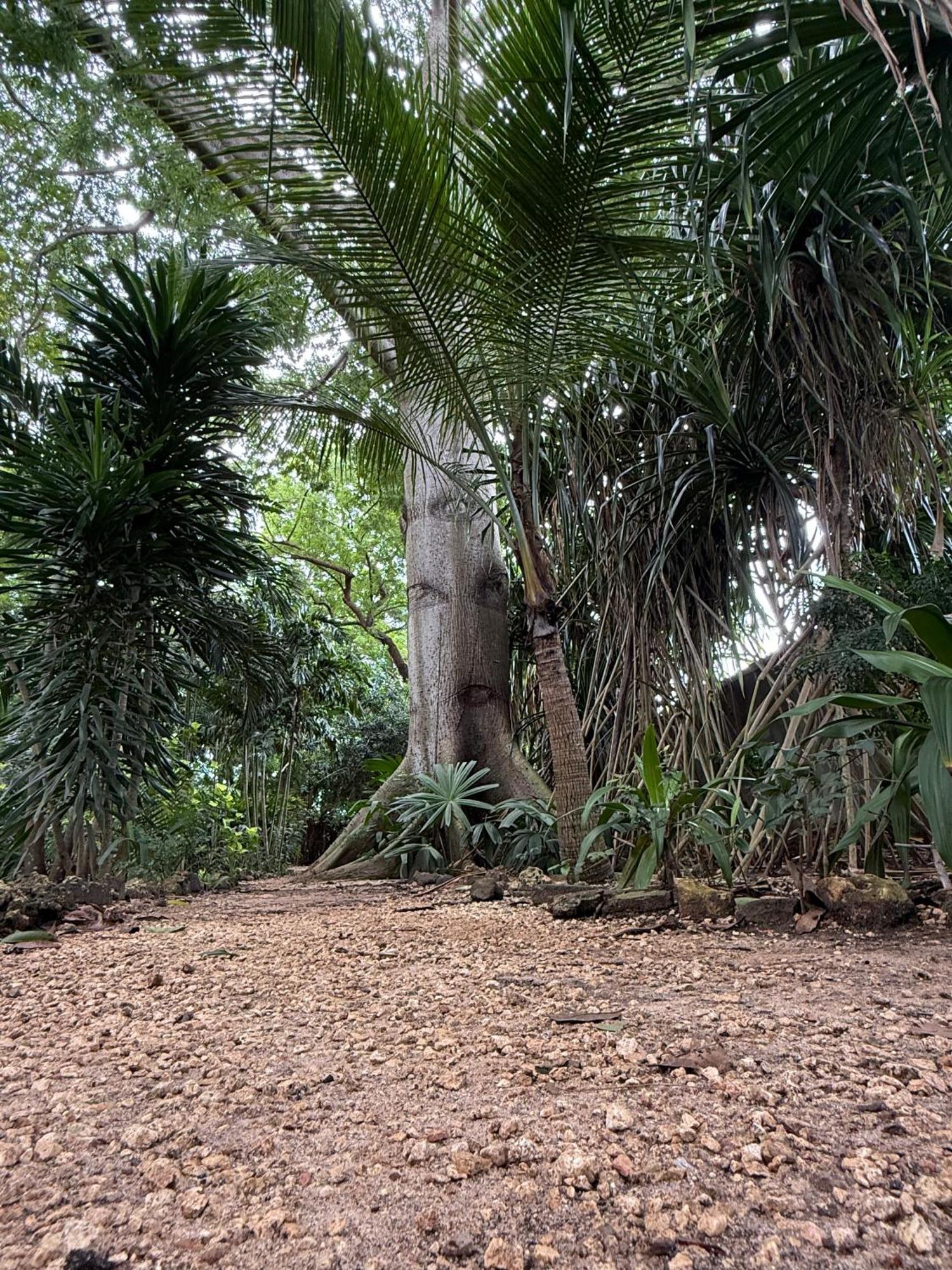 Готель Mbweni Ruins & Gardens Previously Jungle Paradise Занзібар