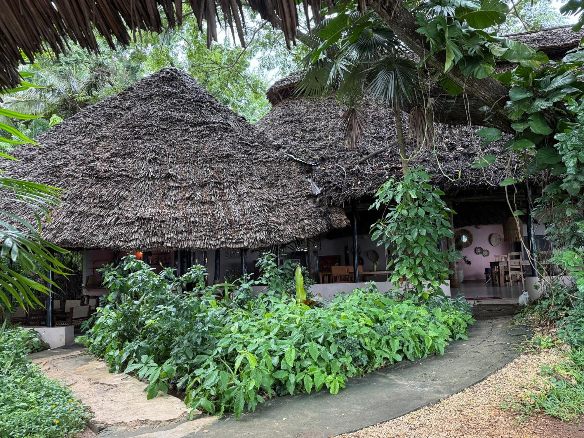 Mbweni Ruins & Gardens Previously Jungle Paradise Занзібар