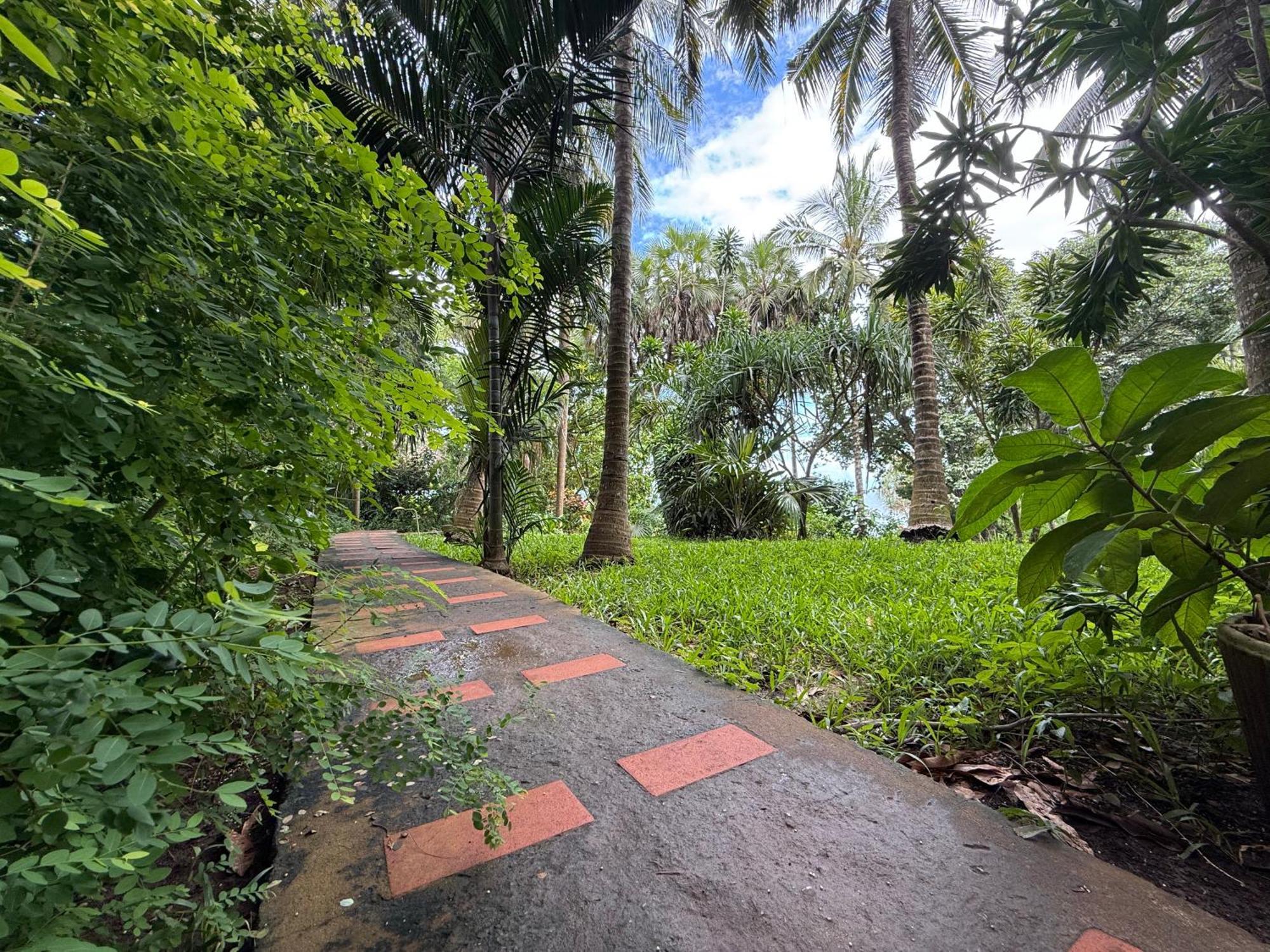 Mbweni Ruins & Gardens Previously Jungle Paradise Занзібар