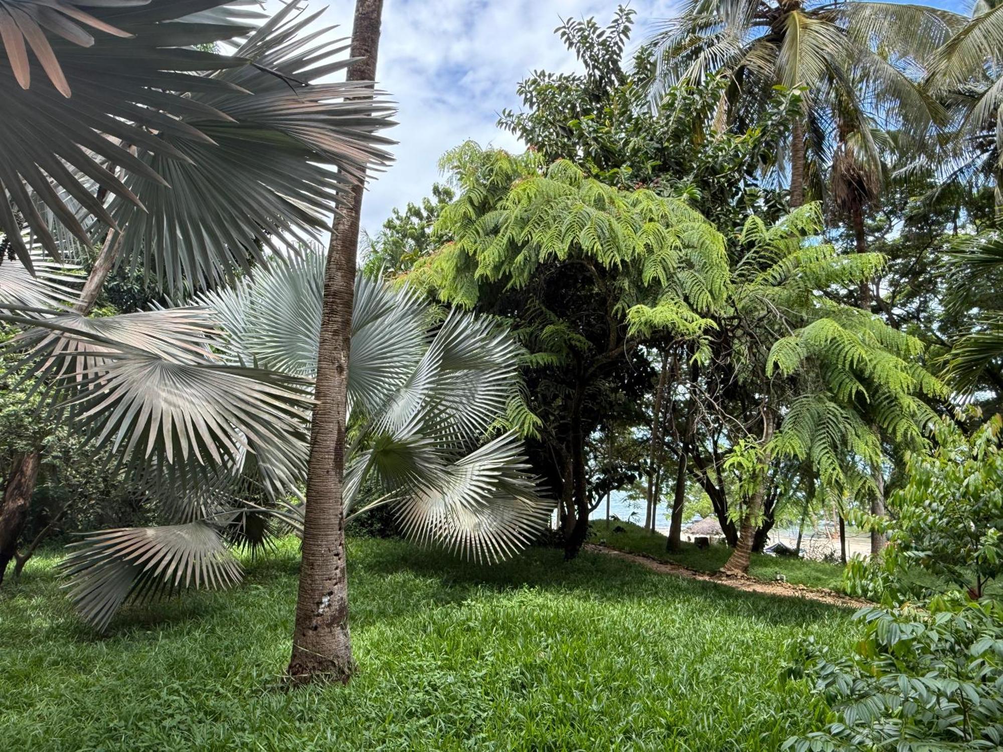 Готель Mbweni Ruins & Gardens Previously Jungle Paradise Занзібар